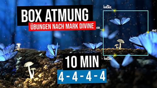 images/tn-videos/boxatmung-10min-4444.jpg