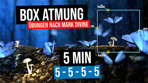 images/tn-videos/boxatmung-5min-5555.jpg